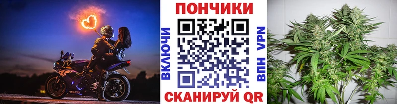 сколько стоит Апрелевка Канабис семена